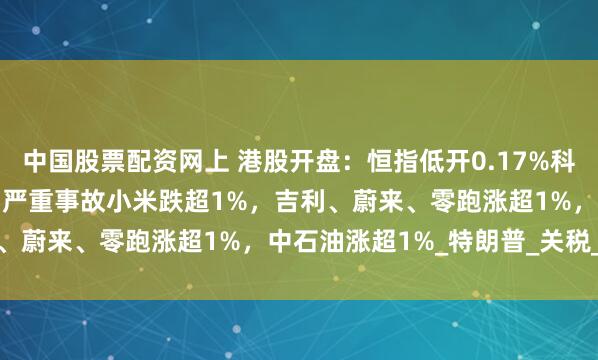 中国股票配资网上 港股开盘：恒指低开0.17%科指跌0.16%！小米SU7严重事故小米跌超1%，吉利、蔚来、零跑涨超1%，中石油涨超1%_特朗普_关税_指数